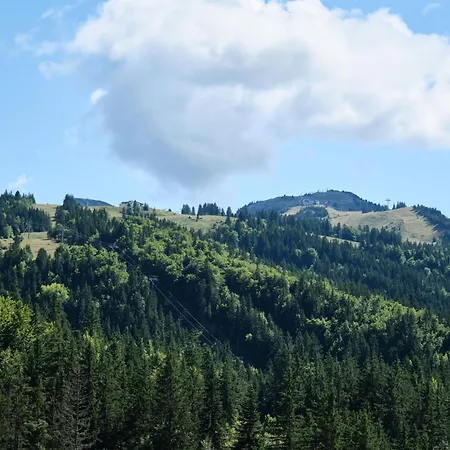 Cosy And View On Mountains