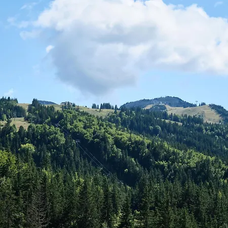 Cosy And View On Mountains *